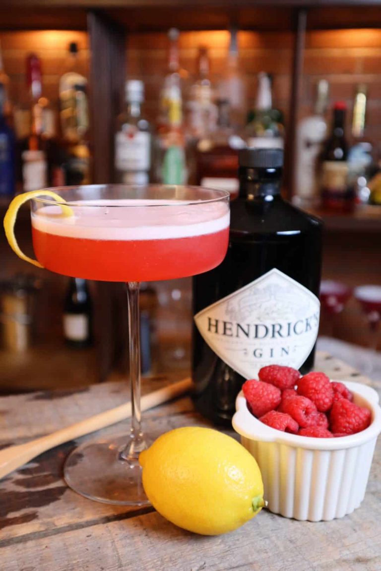 Raspberry Gin Fizz cocktail